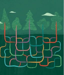 Oracle transformación digital