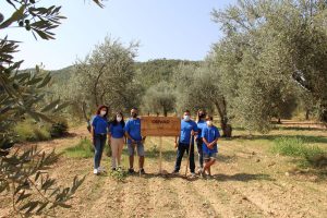 RSC P&G Olivo Procter & Gamble