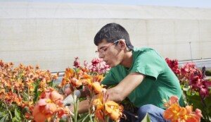 Incorpora-Fundacion-LaCaixa-Recurso