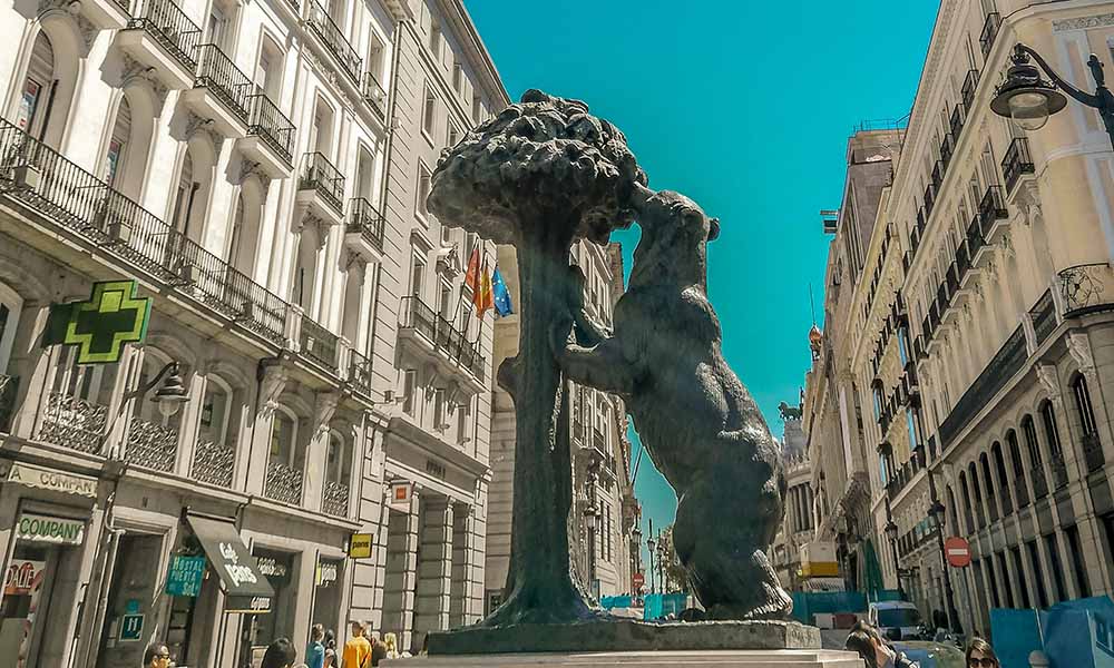 Oso Madrid Recurso Ciudad